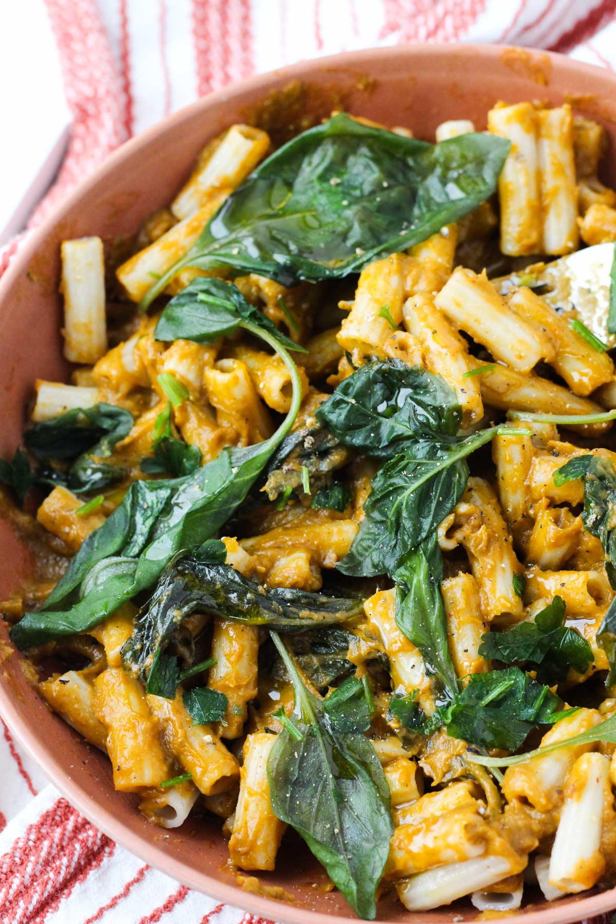 Bowl of vegan roasted tomato sauce tossed in gluten free penne with basil on top.