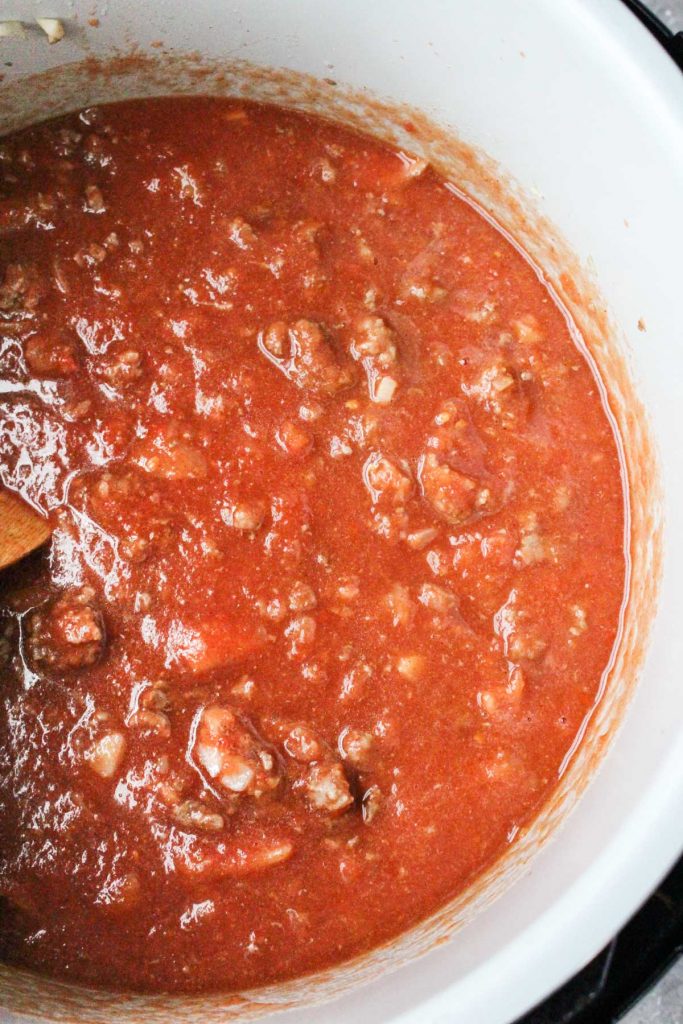 Meat, sauce, and spices mixed together.