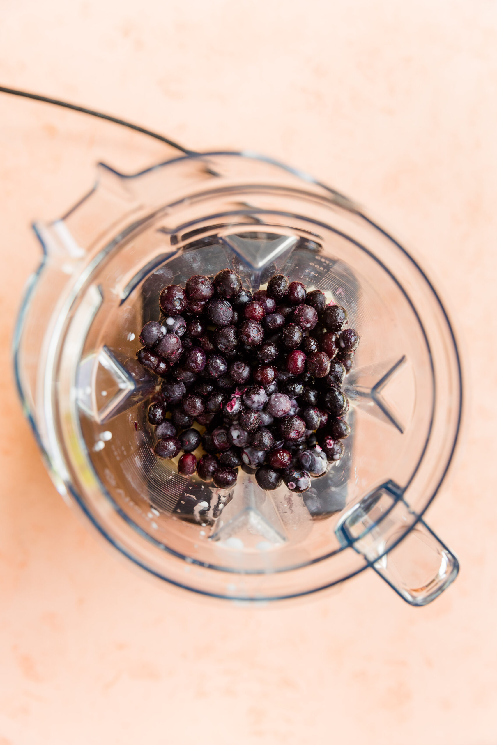 Blueberry ingredients in Vitamix blender.