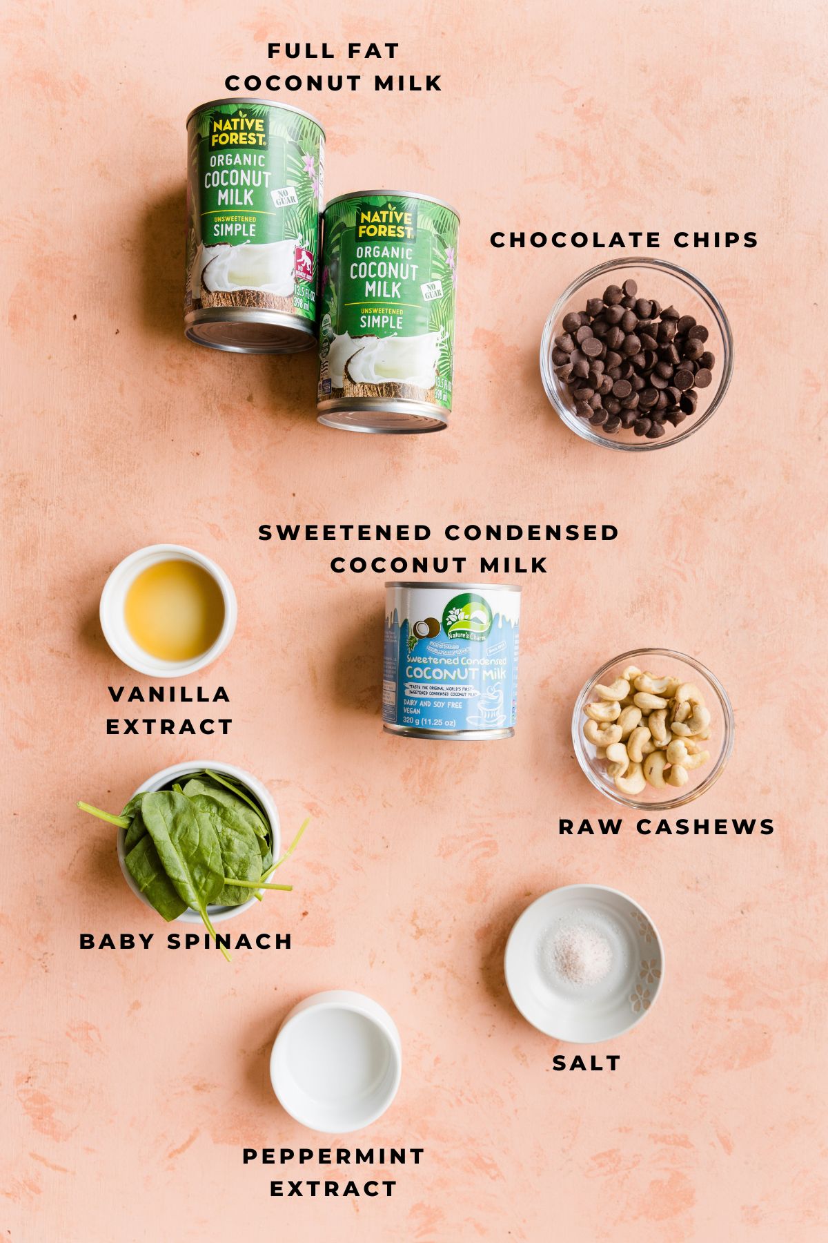 Ingredients measured out for dairy free mint chocolate chip ice cream.