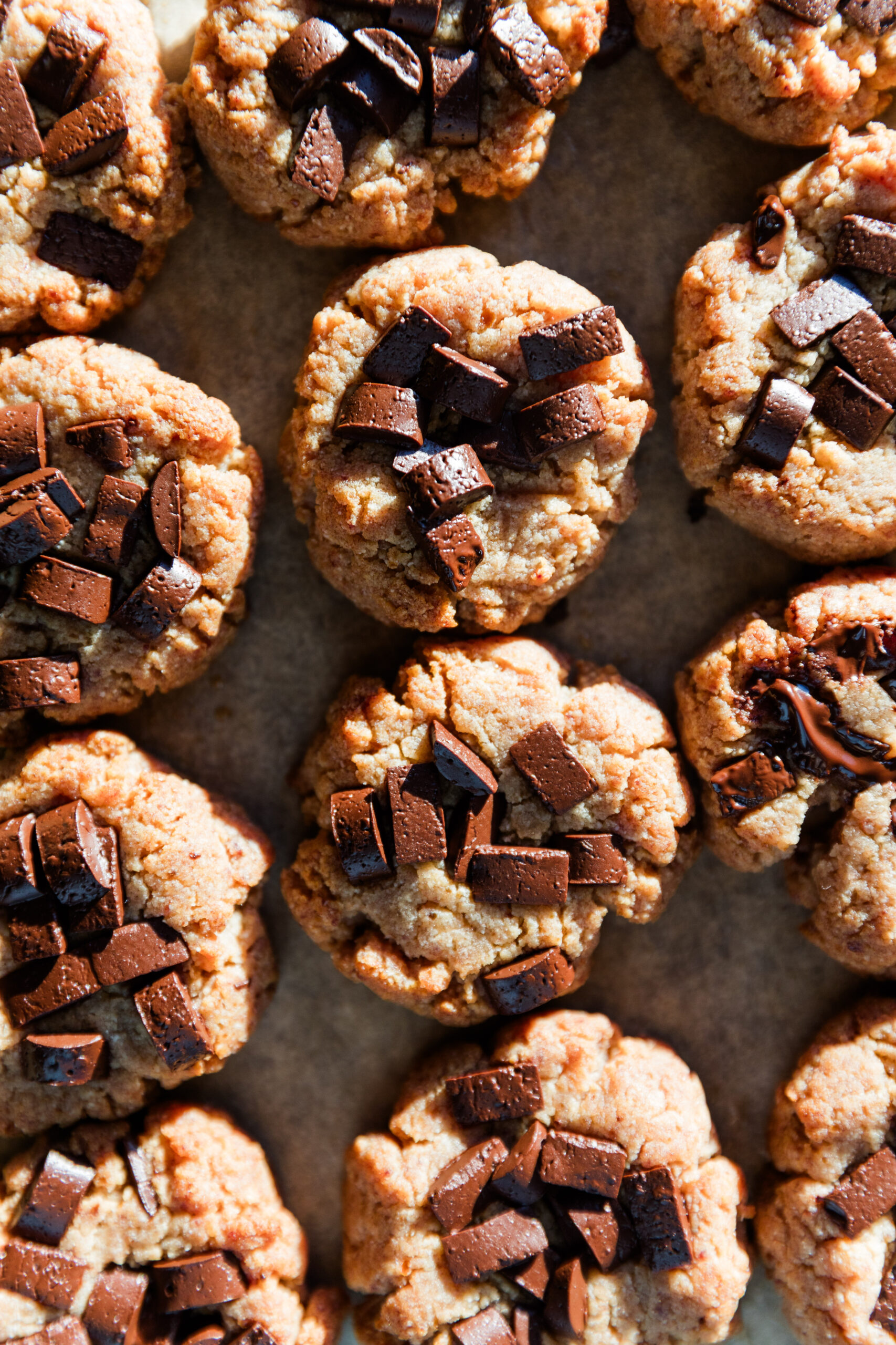 Almond flour cookies with chocolate chips on top.